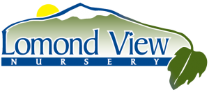 Lomond View Nursery logo