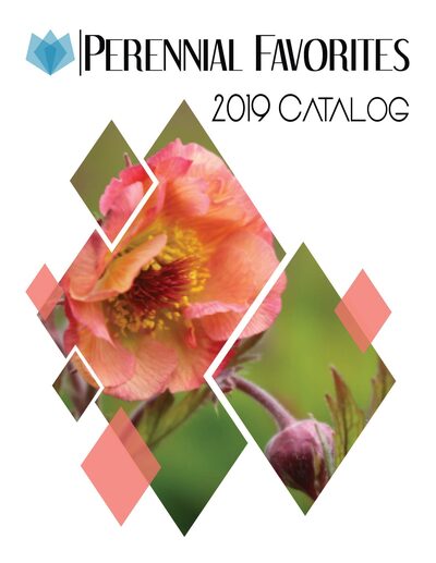 2019 Catalog cover