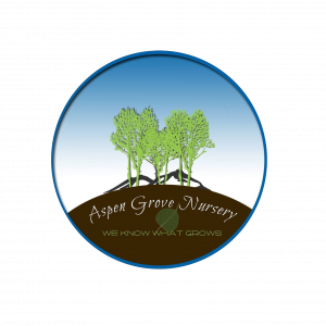 Local Retailers - Perennial Favorites