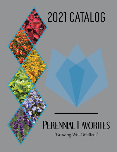 2021 Catalog cover