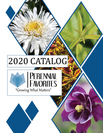 2020 Catalog cover