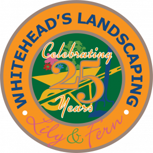 Lily and Fern logo