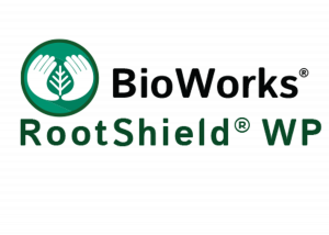 Rootshield logo