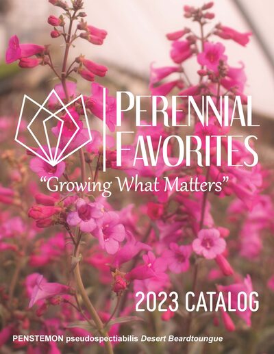 2023 Catalog cover