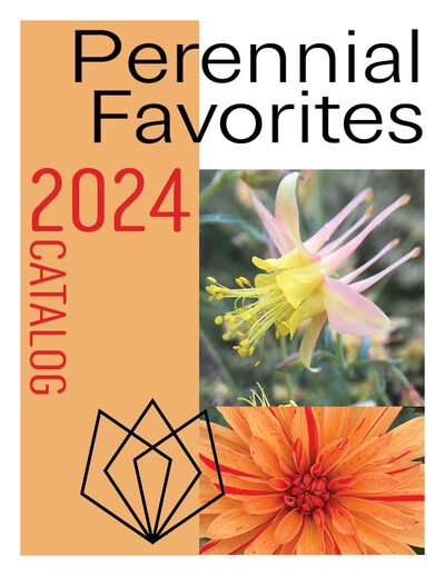 2024 Catalog cover