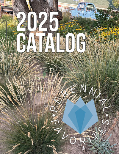 2025 Catalog cover