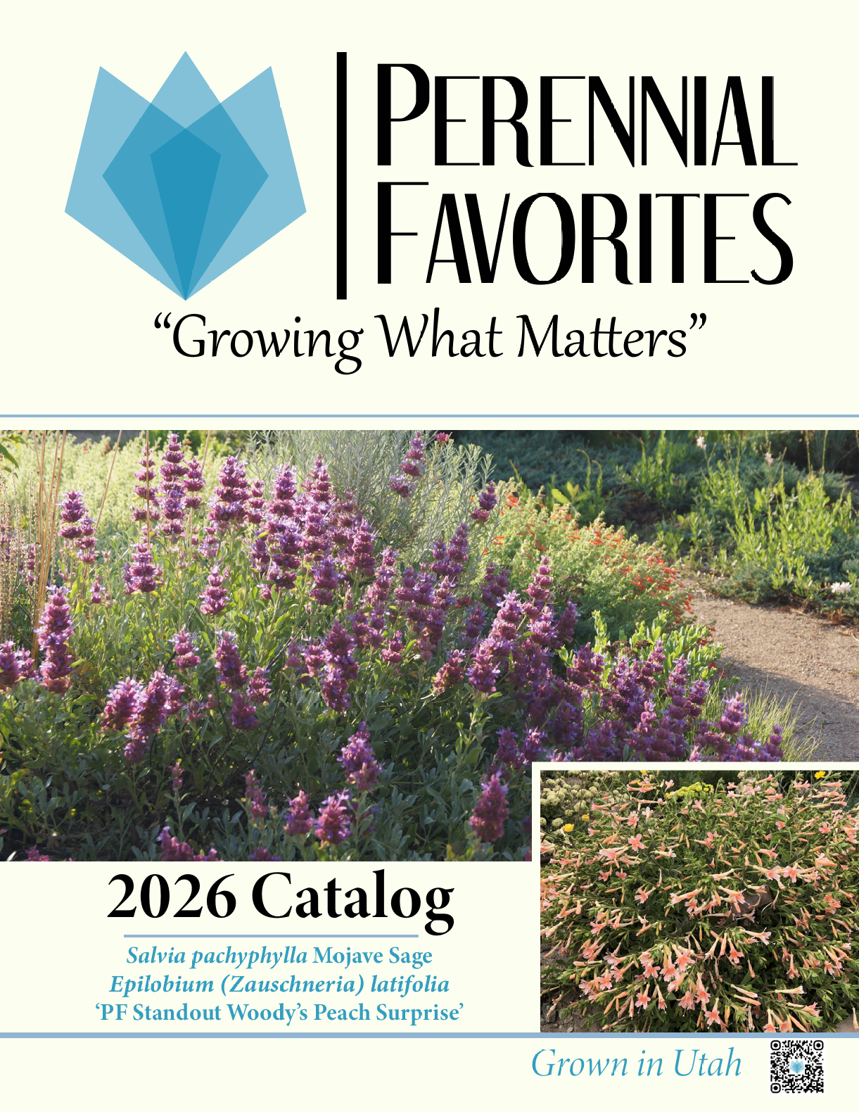 image_2026-01-13_115938217