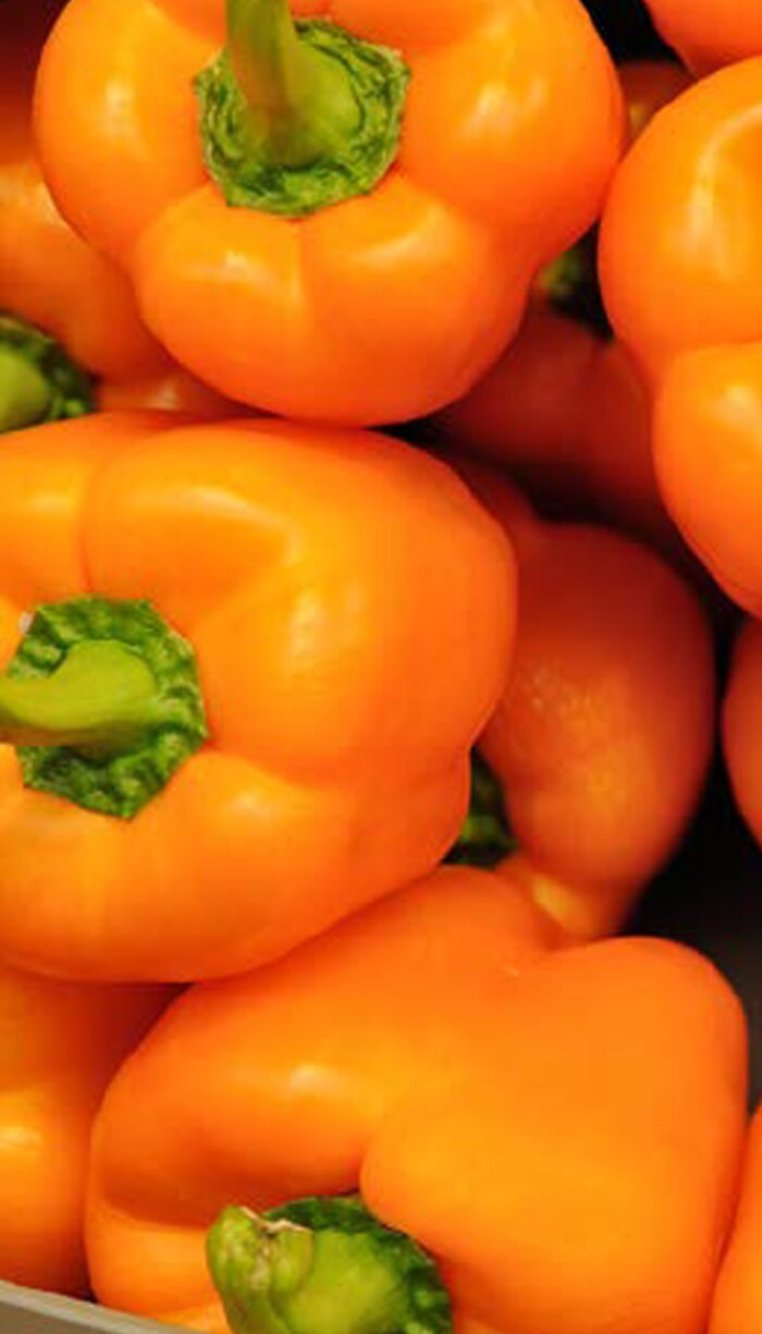 Orange bell peppers grown with RootShield