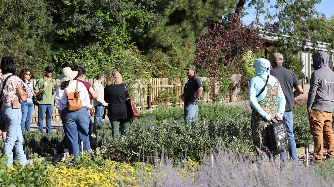 Guests touring the outdoor growing area past lavender