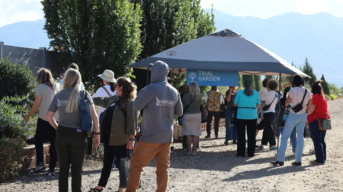 Guests gathered at the Trial Garden tent