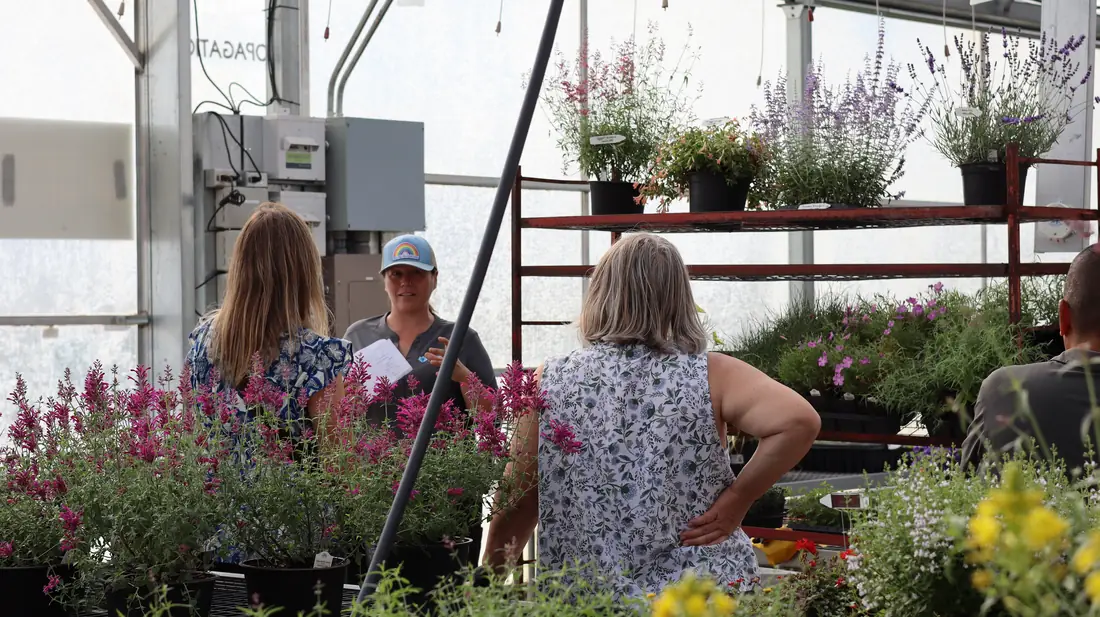 Tour group among flowering plants in propagation
