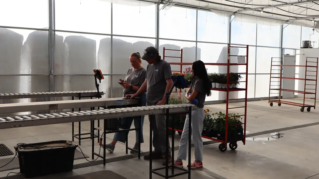 Crew members at the conveyor with a rack of plants