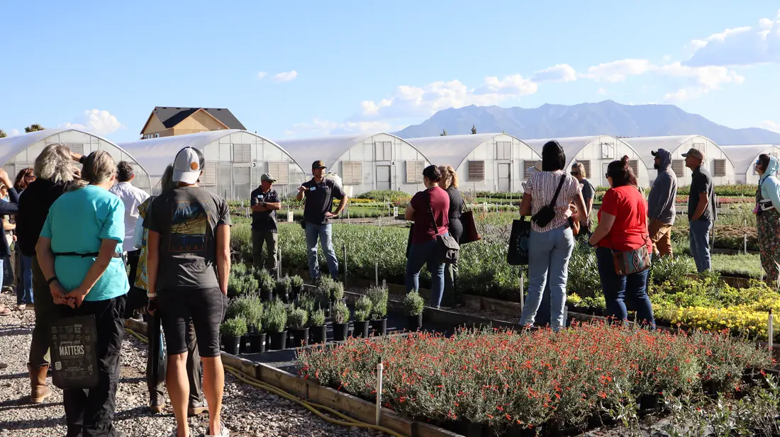 Guests walking the outdoor beds with mountains behind