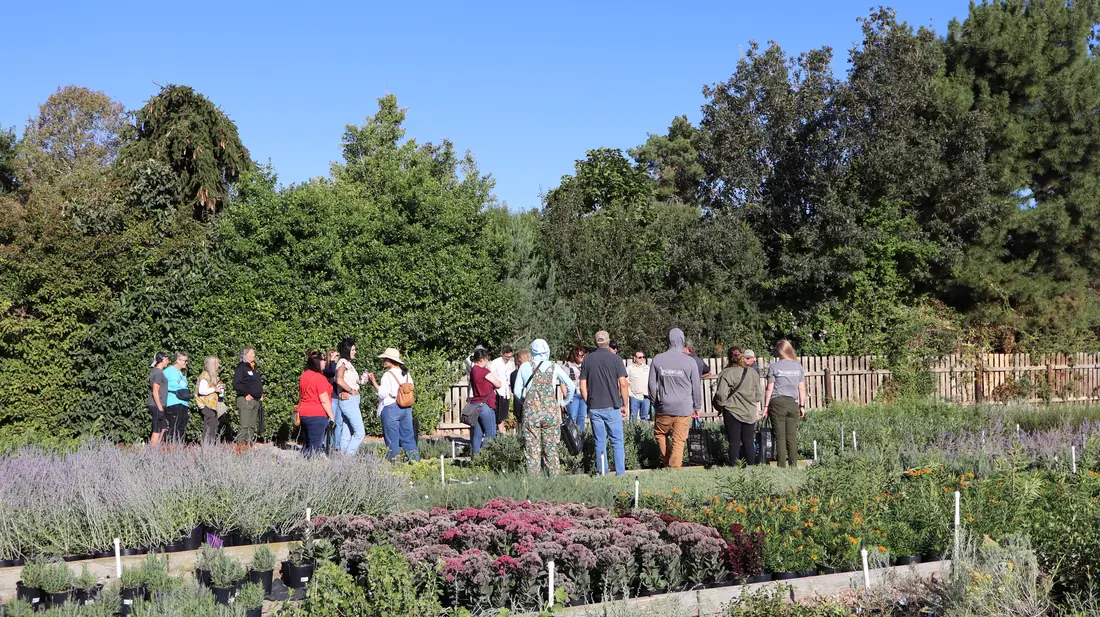 Tour group among outdoor perennials