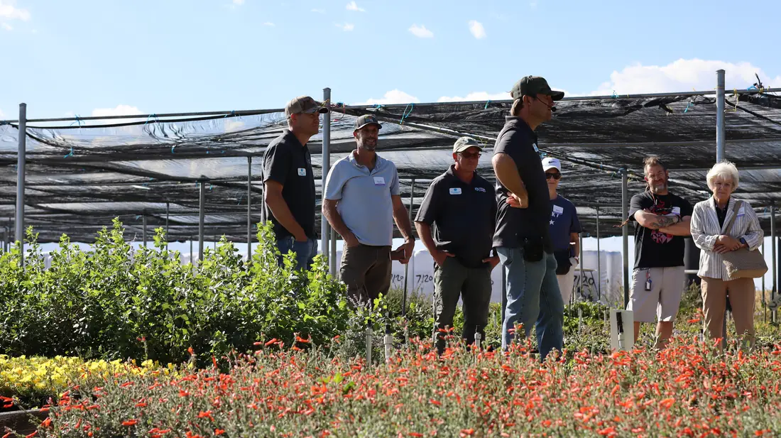 Guests under the shade structure with orange blooms in front