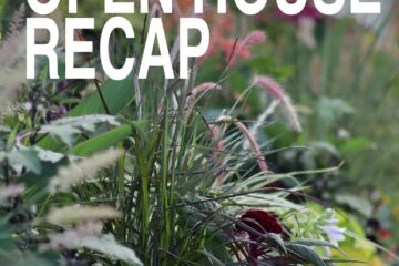 2026 Open House Recap, over a row of ornamental grasses and flowers in the greenhouse