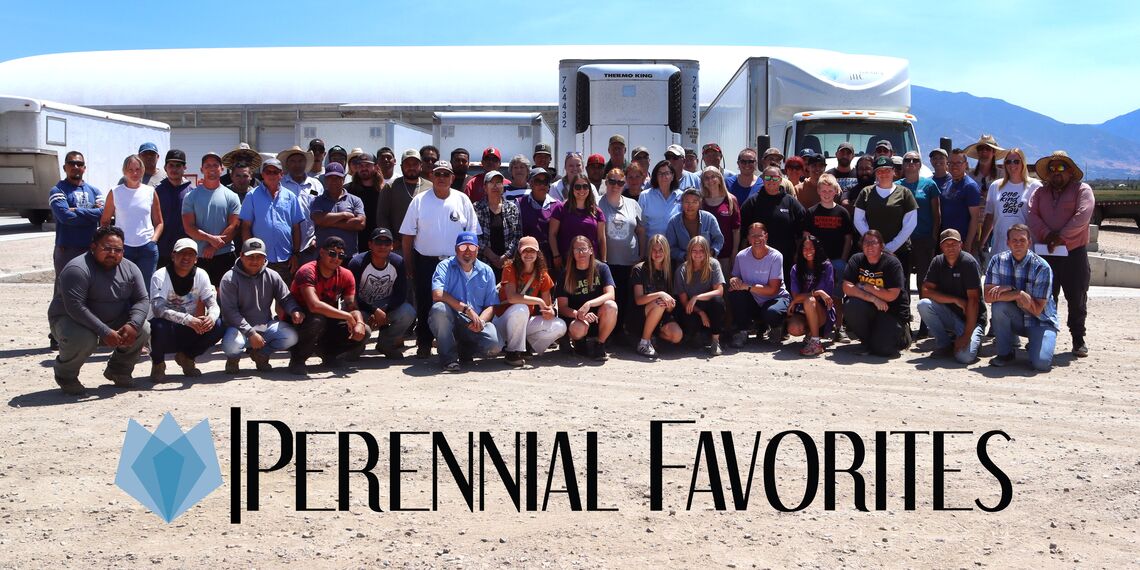 The Perennial Favorites team photographed together outside the nursery